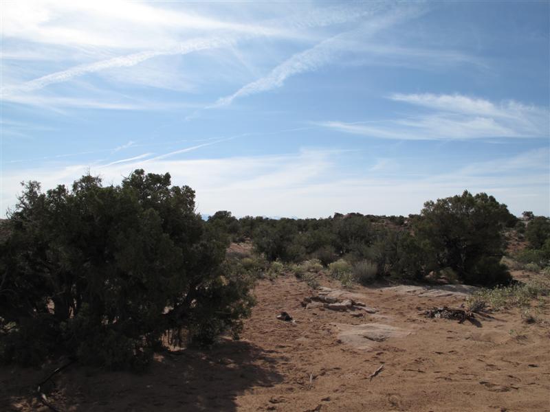 IMG_2517 (Medium).JPG IMG_2517 (Medium).JPG